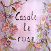 images/r-pannelli-rivestimenti-n.civici/casale-le-rose.jpg